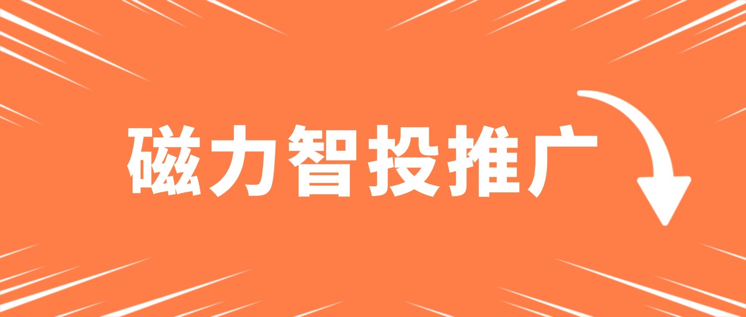 视频广告投放